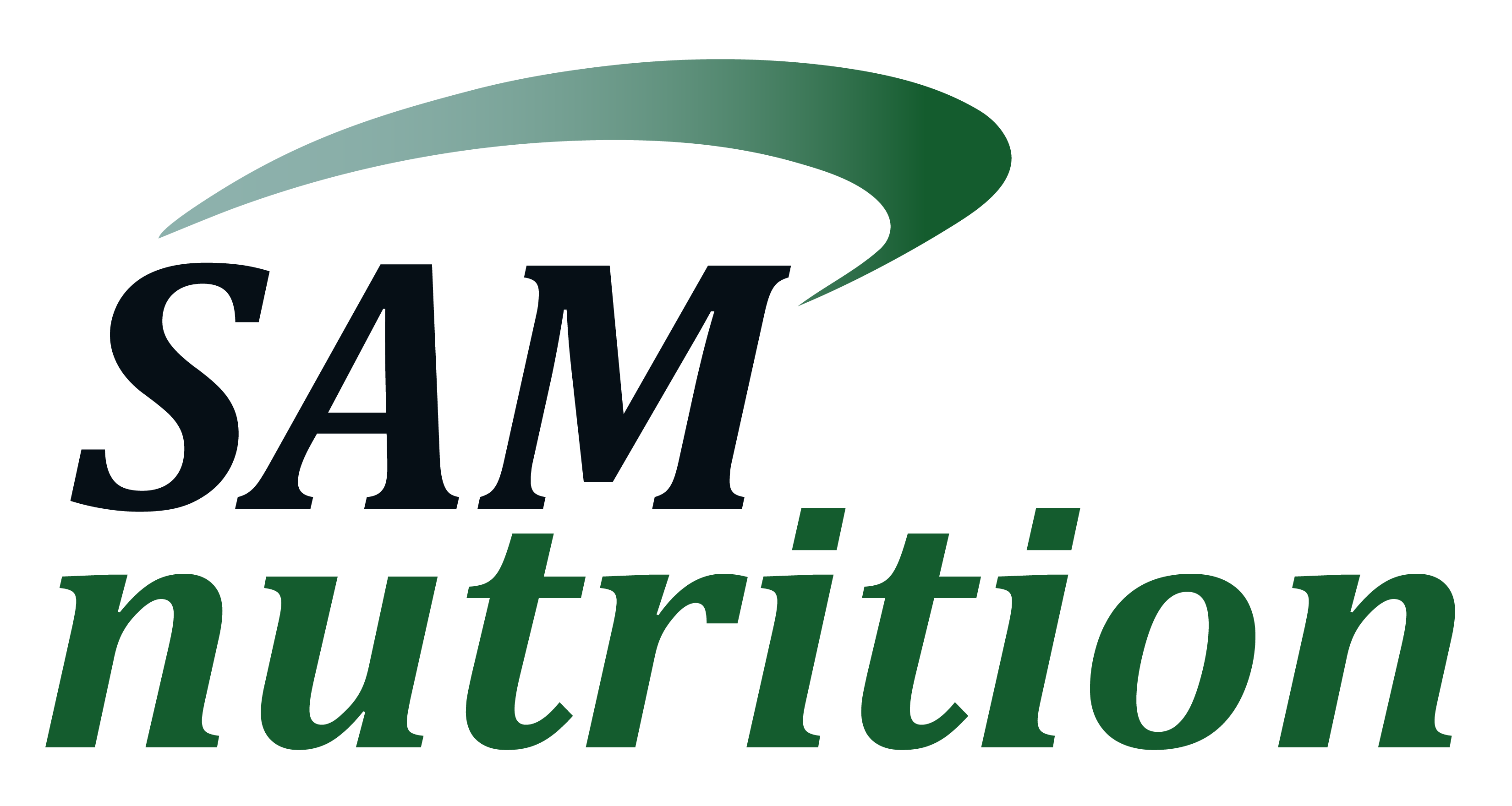SAM logo 2024_Gradient.png logo